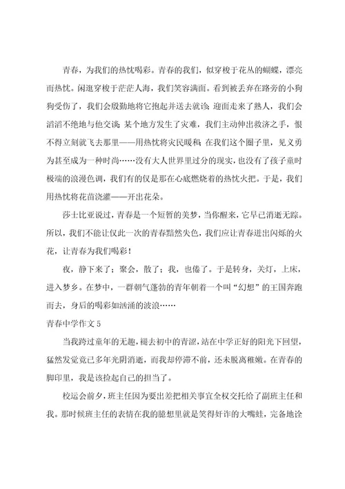 青春高中作文