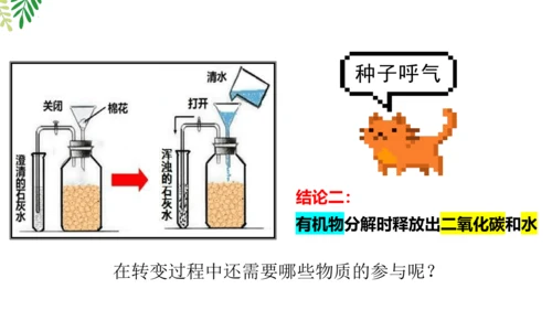 3.5.2 绿色植物的呼吸作用-2023-2024学年七年级生物上册优质课件（人教版）(共18张PP