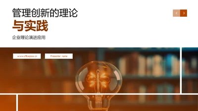 管理创新的理论与实践