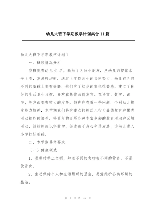 幼儿大班下学期教学计划集合11篇.docx