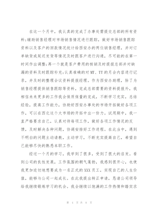 销售员试用期个人工作总结.docx