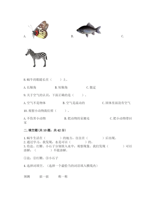教科版一年级下册科学期末测试卷及参考答案（综合卷）.docx