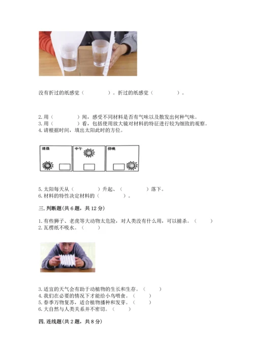 教科版二年级上册科学期末测试卷完美版.docx