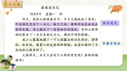 统编版2024-2025学年语文四年级上册第三单元习作 观察日记-（教学课件）