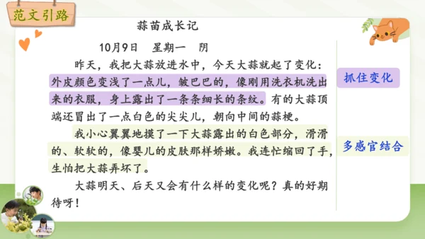 统编版2024-2025学年语文四年级上册第三单元习作 观察日记-（教学课件）