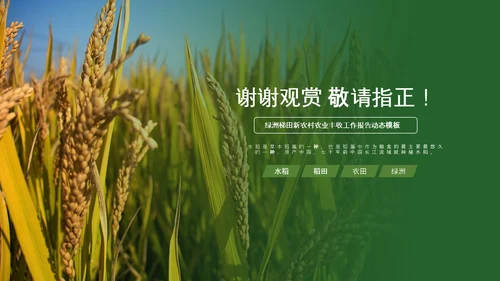 农业生产春耕三农新农村乡村振兴稻田水稻PPT