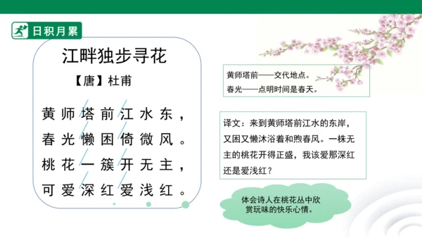 四下语文园地二 课件