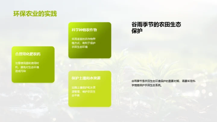 实践谷雨环保农业