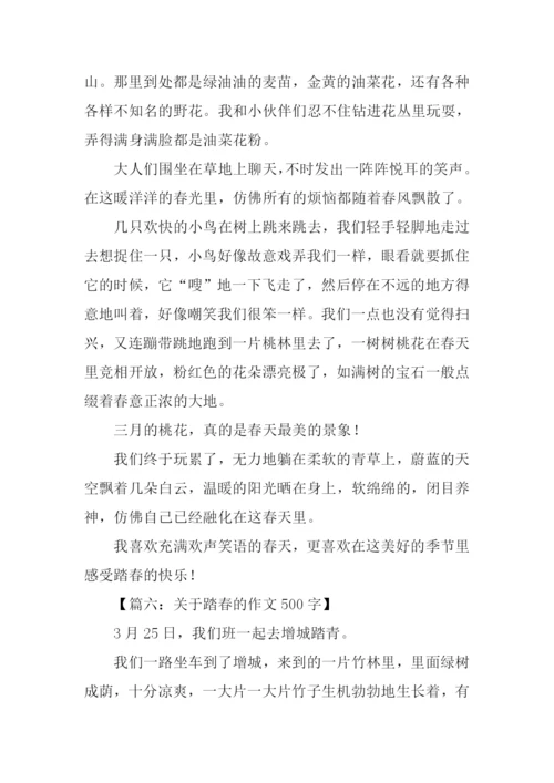 关于踏青的作文.docx