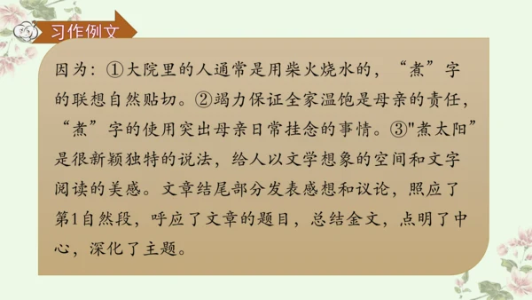 【新课标】第三单元习作例文 阳光的两种用法（课件17张PPT）