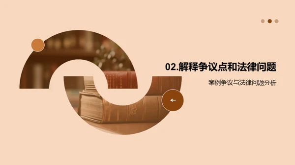 法律案例分析