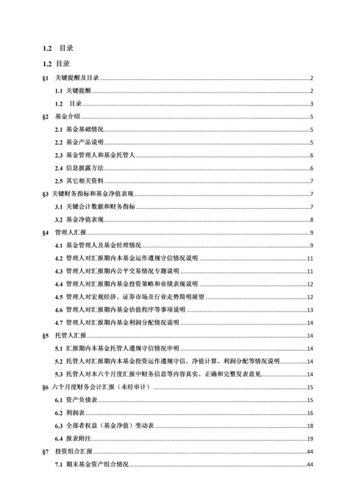 策略精选混合型证券投资基金半年度报告模板.docx