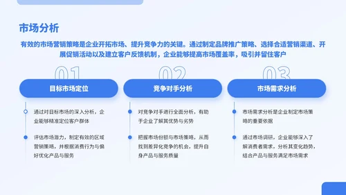 蓝色商务风实体行业商业计划书