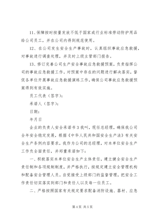 企业的负责人安全承诺书.docx