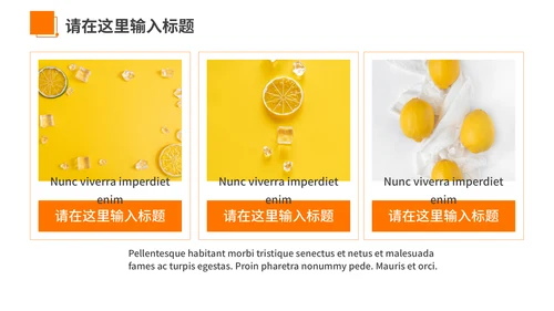 橙色夏季风优雅商务工作汇报通用PPT模板
