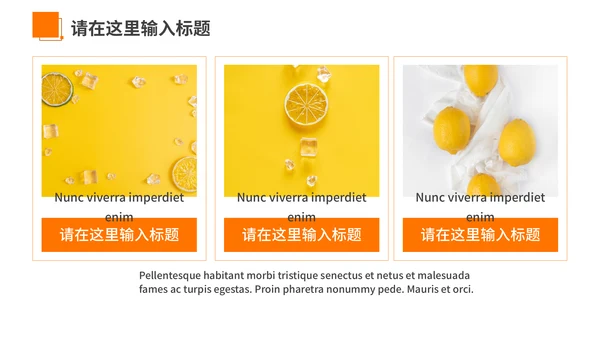 橙色夏季风优雅商务工作汇报通用PPT模板