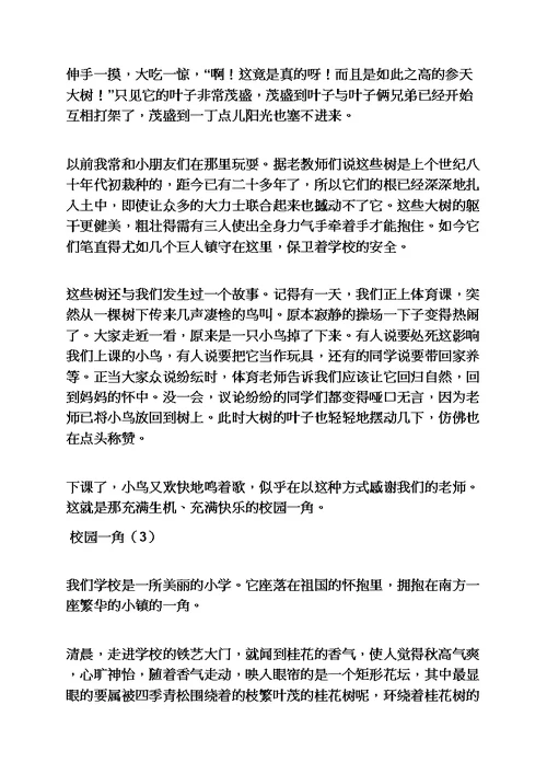 学校作文之英语作文描述校园一角