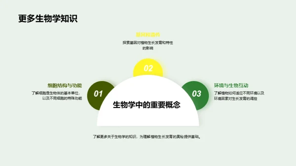 植物生长的秘密