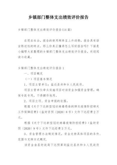 乡镇部门整体支出绩效评价报告_1.docx