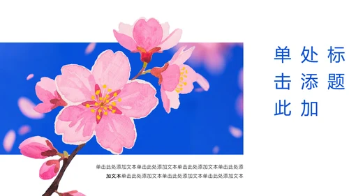 蓝色极简风赏樱攻略