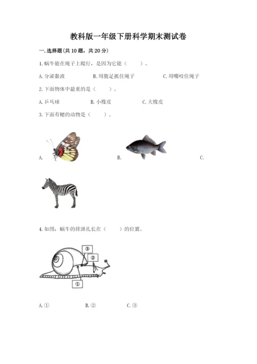 教科版一年级下册科学期末测试卷附参考答案（轻巧夺冠）.docx