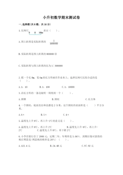 小升初数学期末测试卷【典型题】.docx