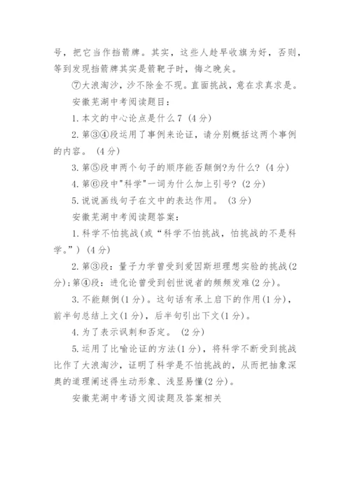 安徽芜湖中考语文阅读题及答案.docx