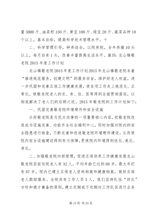 敬老院的新年工作计划.docx