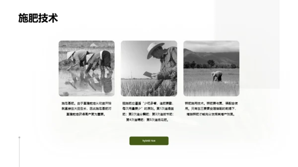 生物专业毕业论文答辩PPT