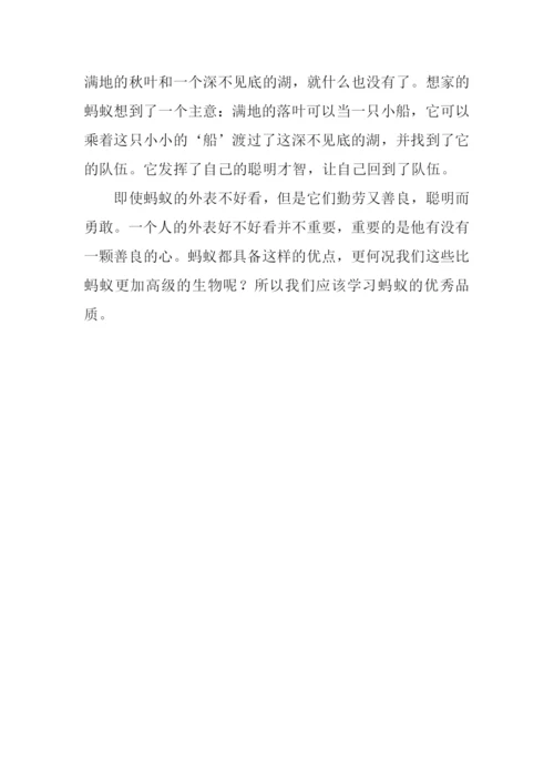 关于小蚂蚁的作文.docx