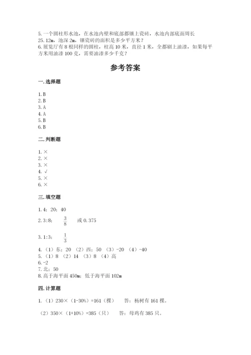 廊坊市文安县六年级下册数学期末测试卷精选.docx