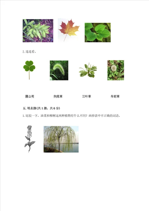 教科版科学一年级上册第一单元植物测试卷含答案a卷