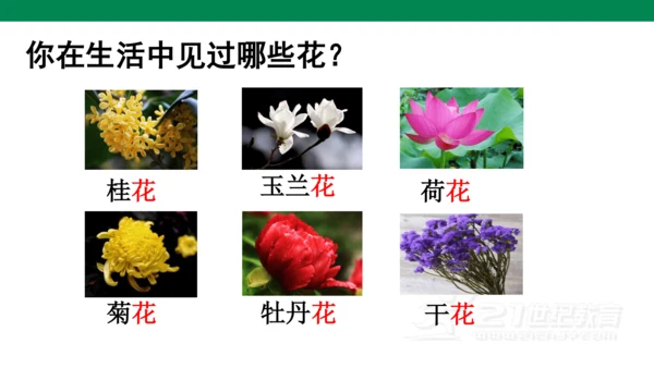 ）识字5  对韵歌-  课件