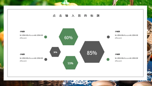 果蔬农产品工作总结农户农业通用PPT模板
