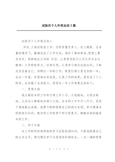 试验员个人年度总结5篇.docx