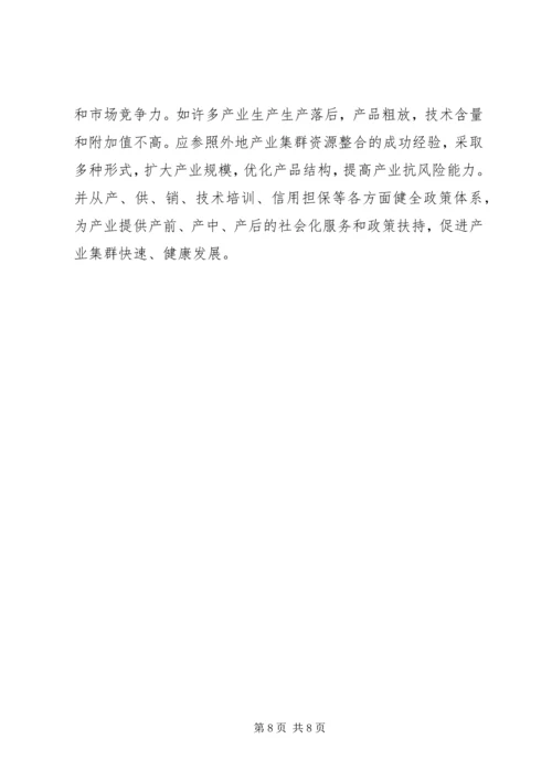 产业集群发展状况调研报告.docx