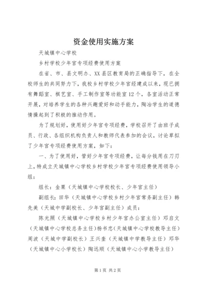 资金使用实施方案 (2).docx