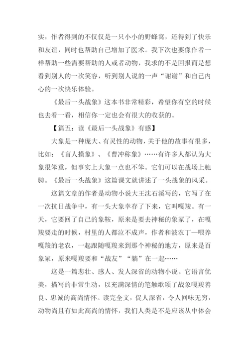 读最后一头战象有感600字.docx