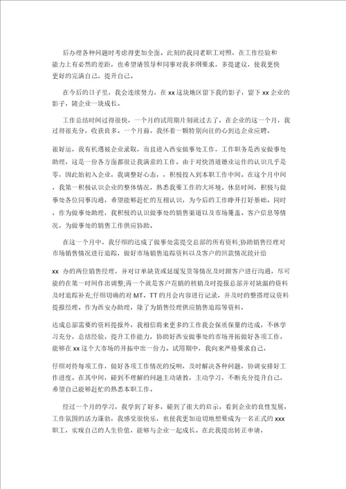 销售员转正工作总结优秀版本