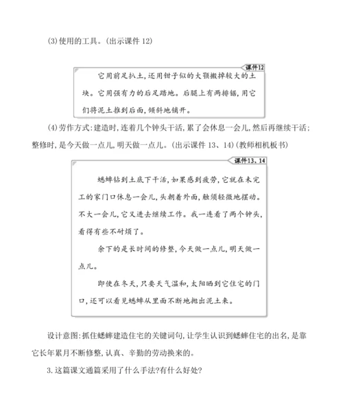 11蟋蟀的住宅 教案
