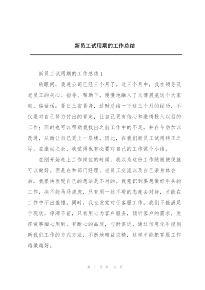 新员工试用期的工作总结.docx