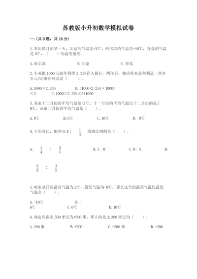 苏教版小升初数学模拟试卷【名师系列】.docx