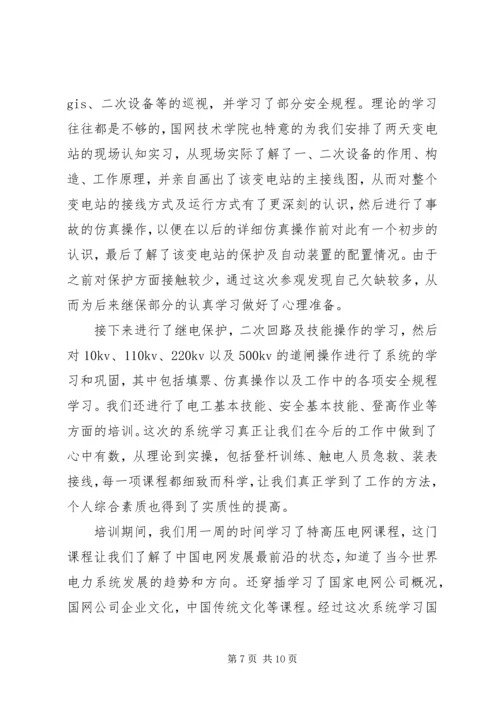 国网培训心得体会6篇.docx