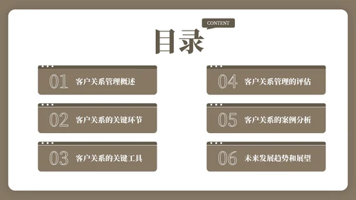 棕色客户关系管理与拓展工作总结
