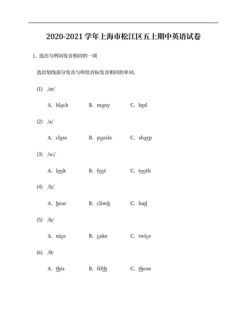 上海松江区小学五年级上期中英语试卷word模板