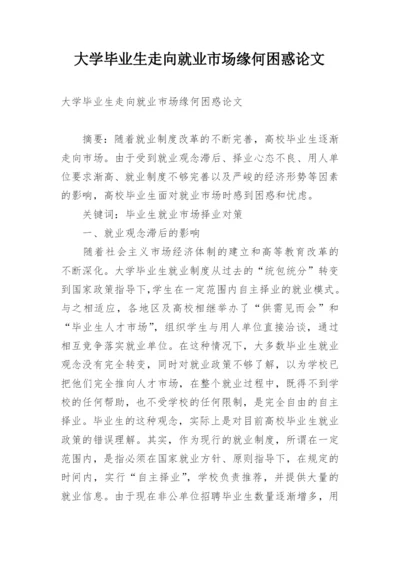 大学毕业生走向就业市场缘何困惑论文.docx