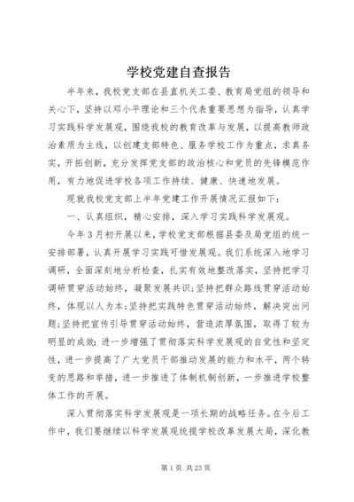 学校党建自查报告.docx