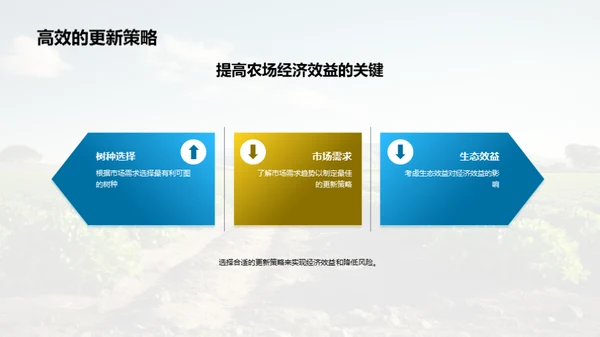 农林更新：投资与回报