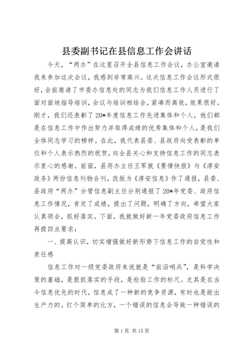 县委副书记在县信息工作会讲话.docx