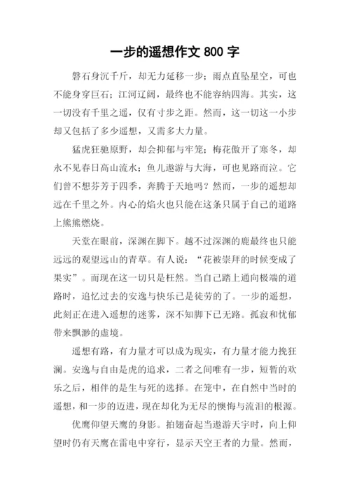 一步的遥想作文800字.docx